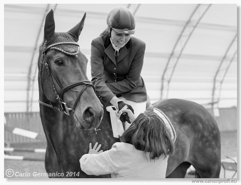 Zimn� liga 2014 - fin�le