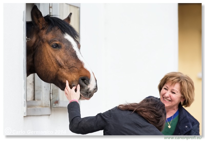 Zimn� liga 2014 - fin�le