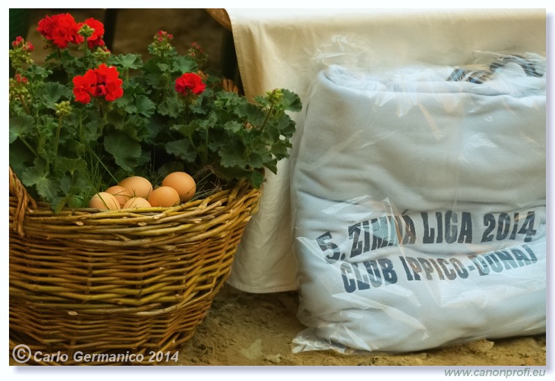 Zimn� liga 2014 - fin�le