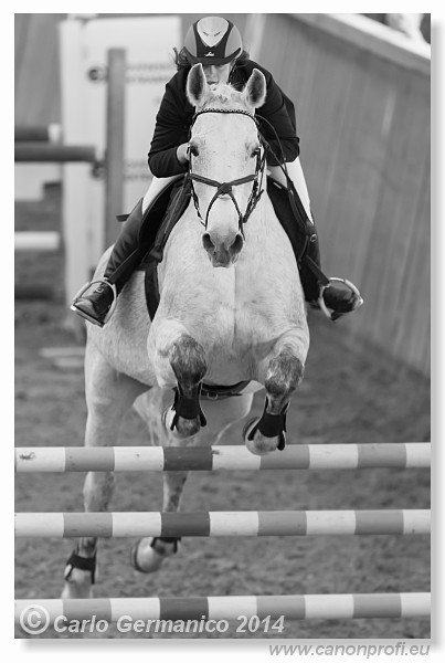 Zimn� liga 2014 - fin�le