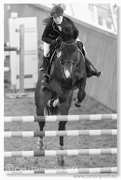 Zimn� liga 2014 - fin�le