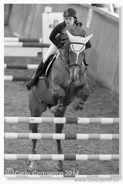 Zimn� liga 2014 - fin�le