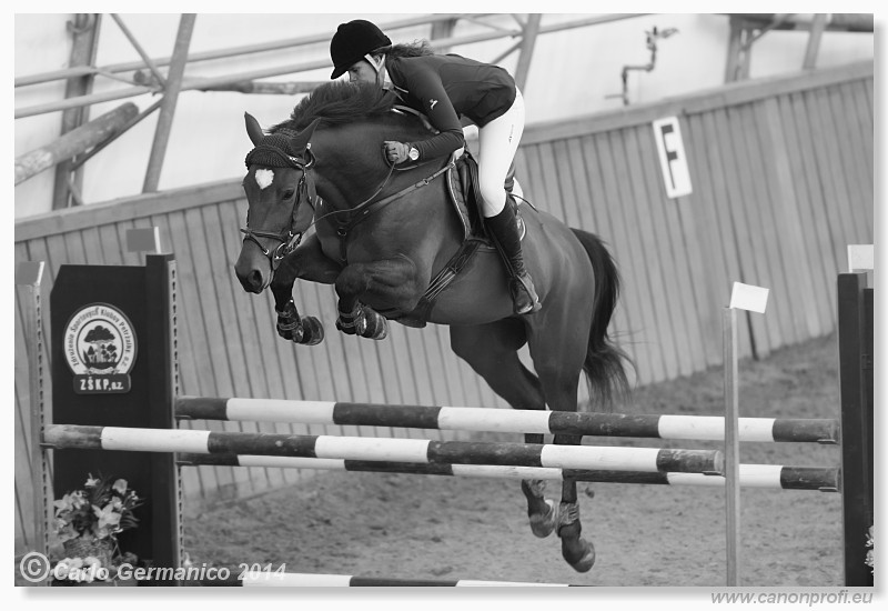 Zimn� liga 2014 - fin�le