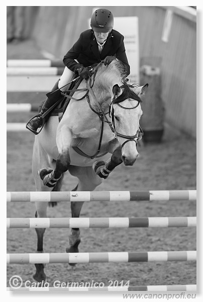 Zimn� liga 2014 - fin�le