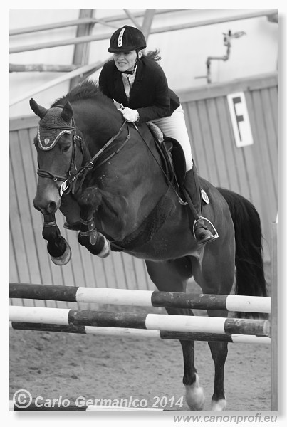 Zimn� liga 2014 - fin�le