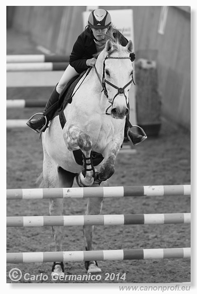 Zimn� liga 2014 - fin�le