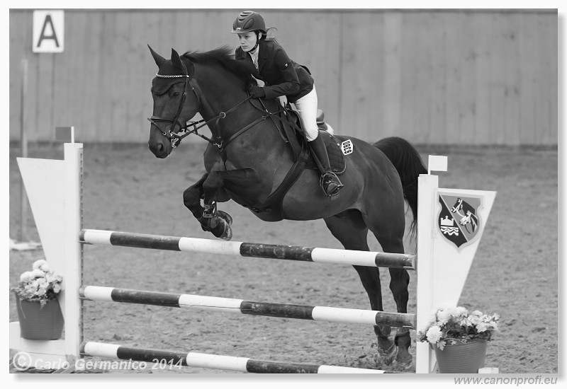 Zimn� liga 2014 - fin�le