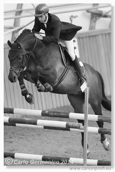 Zimn� liga 2014 - fin�le