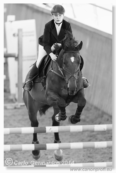 Zimn� liga 2014 - fin�le