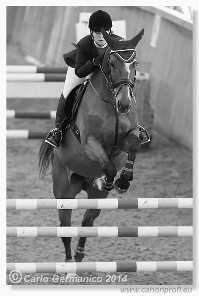 Zimn� liga 2014 - fin�le