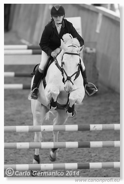 Zimn� liga 2014 - fin�le