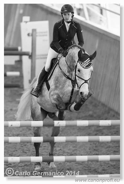 Zimn� liga 2014 - fin�le