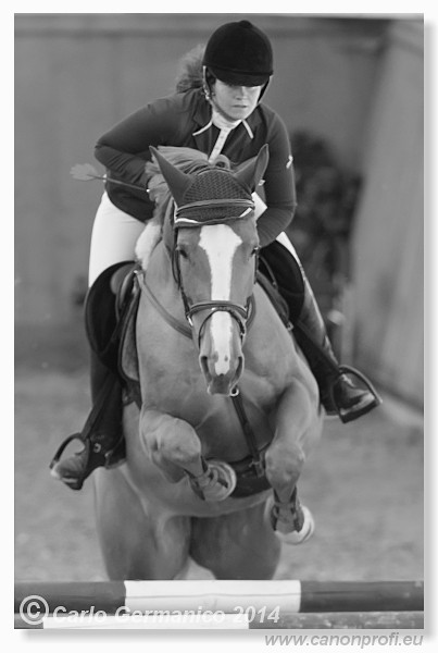 Zimn� liga 2014 - fin�le