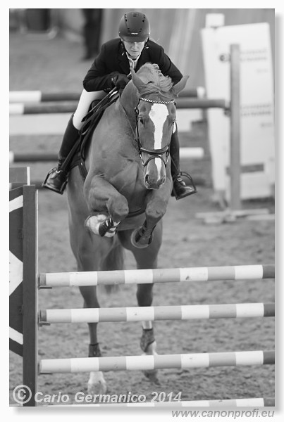 Zimn� liga 2014 - fin�le