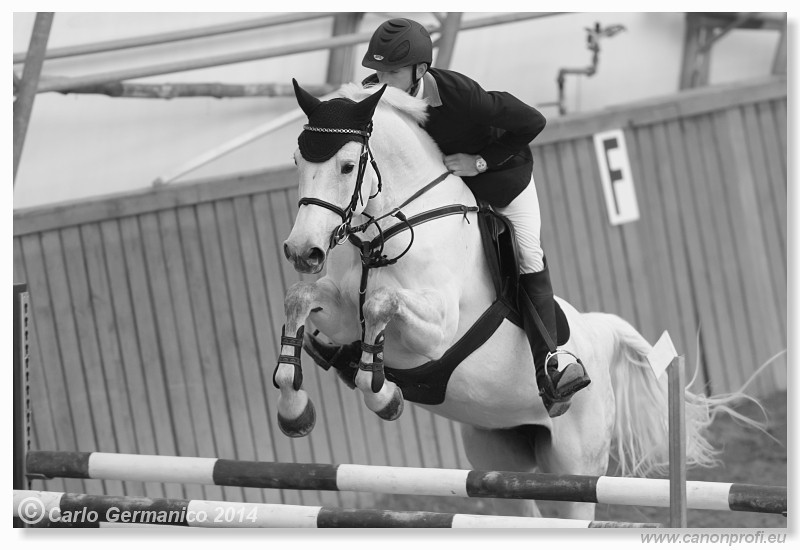 Zimn� liga 2014 - fin�le