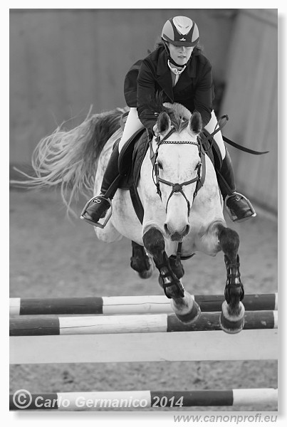 Zimn� liga 2014 - fin�le