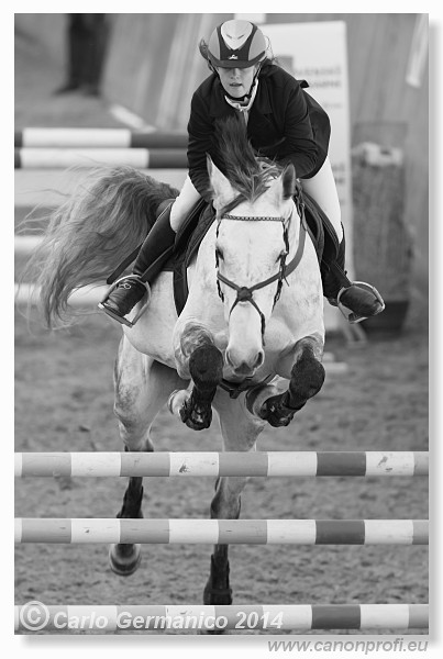 Zimn� liga 2014 - fin�le