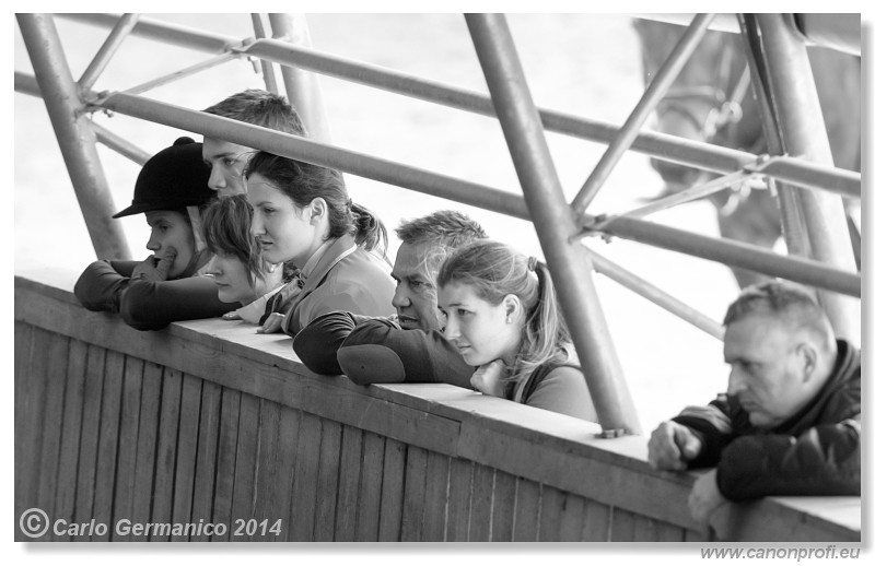 Zimn� liga 2014 - fin�le