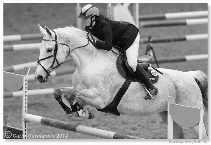 Zimn� liga 2014 - fin�le