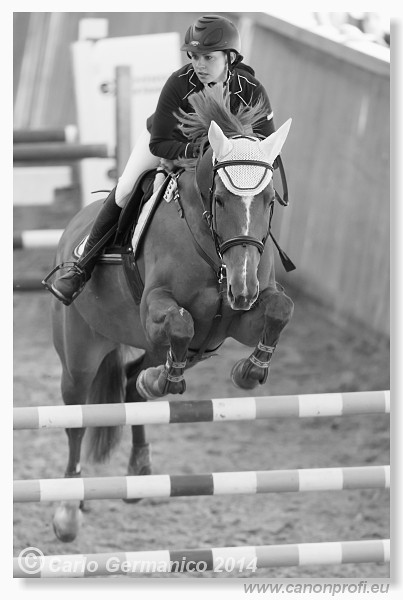 Zimn� liga 2014 - fin�le