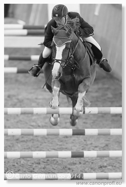 Zimn� liga 2014 - fin�le