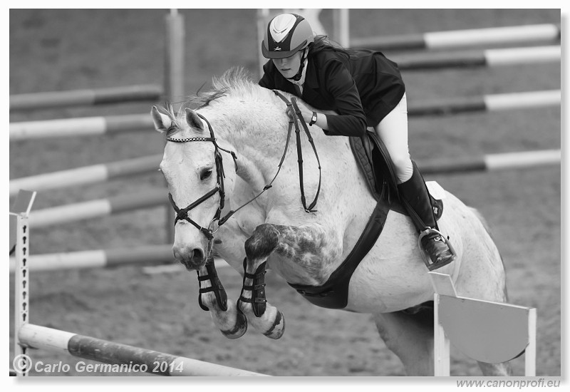 Zimn� liga 2014 - fin�le