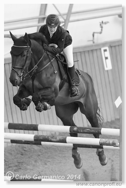 Zimn� liga 2014 - fin�le