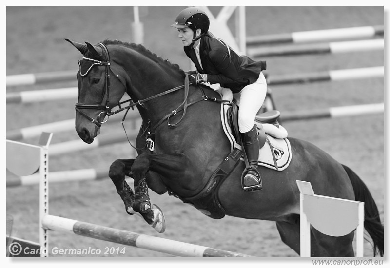 Zimn� liga 2014 - fin�le