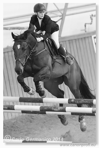 Zimn� liga 2014 - fin�le