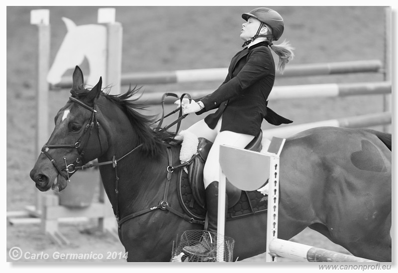 Zimn� liga 2014 - fin�le