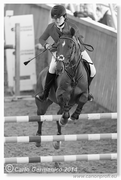 Zimn� liga 2014 - fin�le