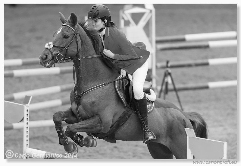 Zimn� liga 2014 - fin�le