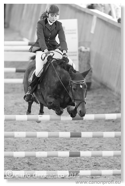 Zimn� liga 2014 - fin�le