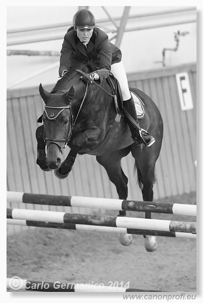 Zimn� liga 2014 - fin�le