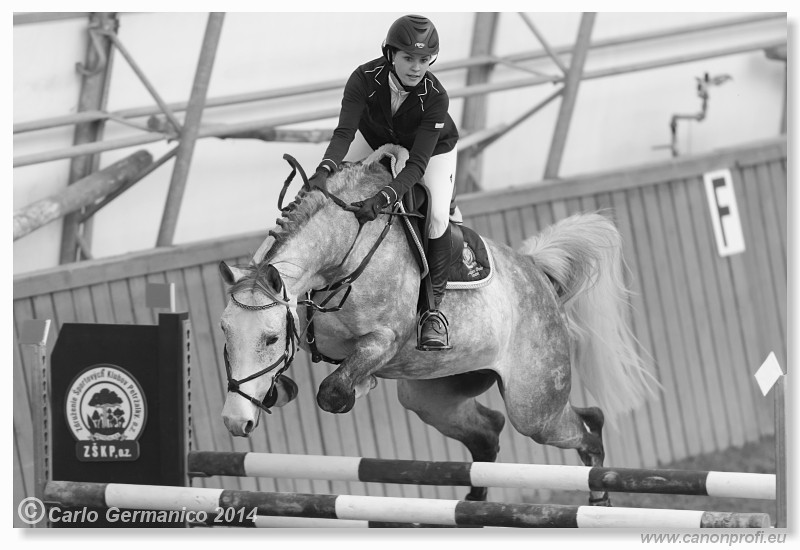 Zimn� liga 2014 - fin�le