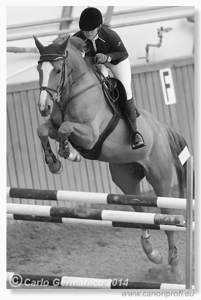 Zimn� liga 2014 - fin�le