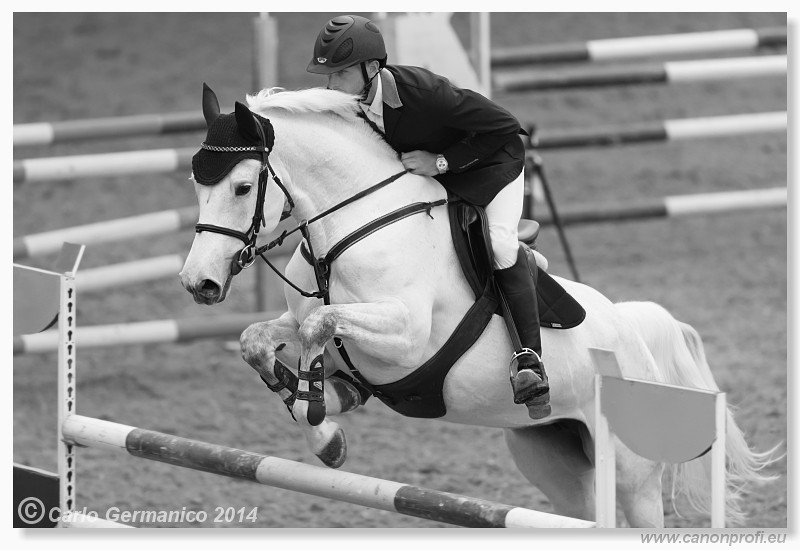 Zimn� liga 2014 - fin�le