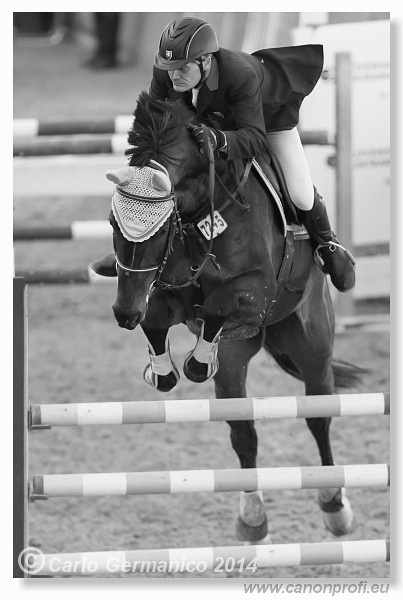 Zimn� liga 2014 - fin�le