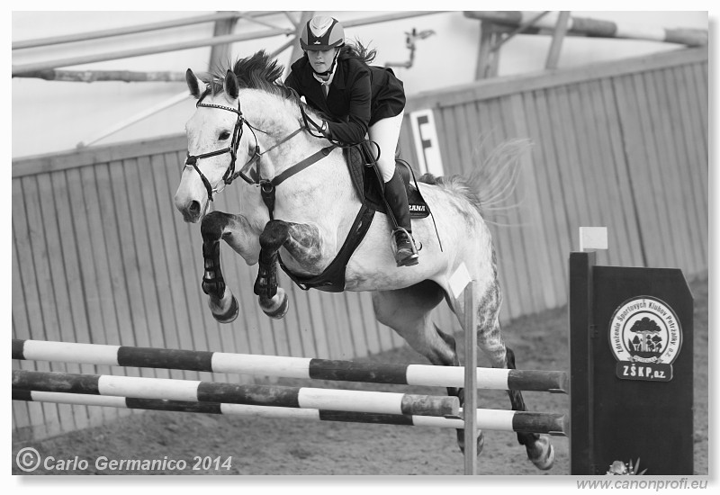 Zimn� liga 2014 - fin�le