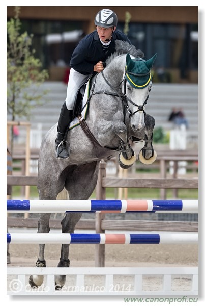 Spring Opening Hippo 