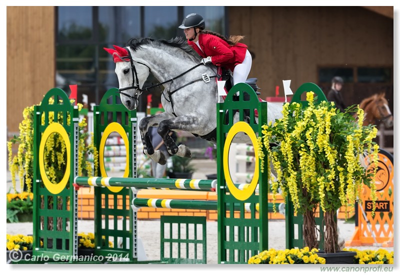 Spring Opening Hippo 