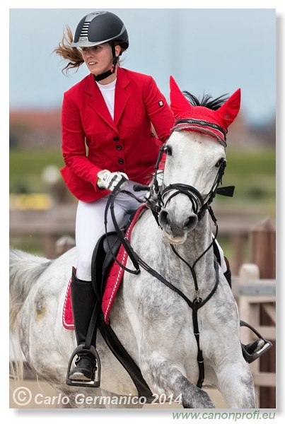 Spring Opening Hippo 