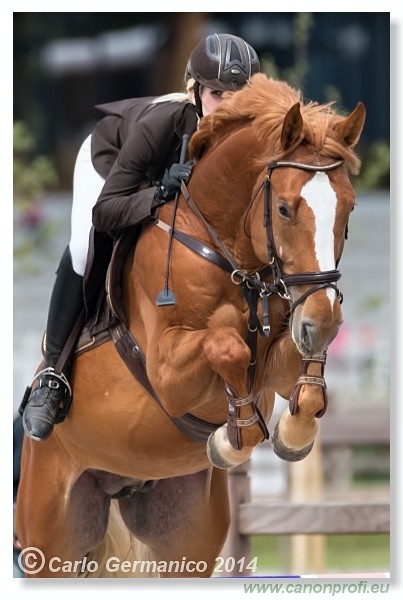 Spring Opening Hippo 