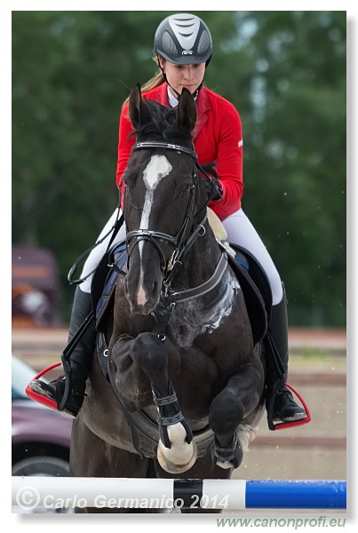 Spring Opening Hippo 