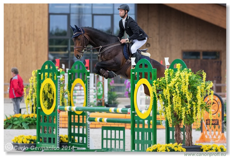 Spring Opening Hippo 