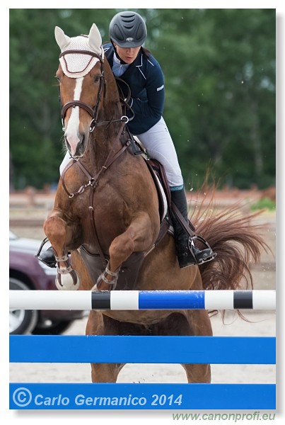 Spring Opening Hippo 