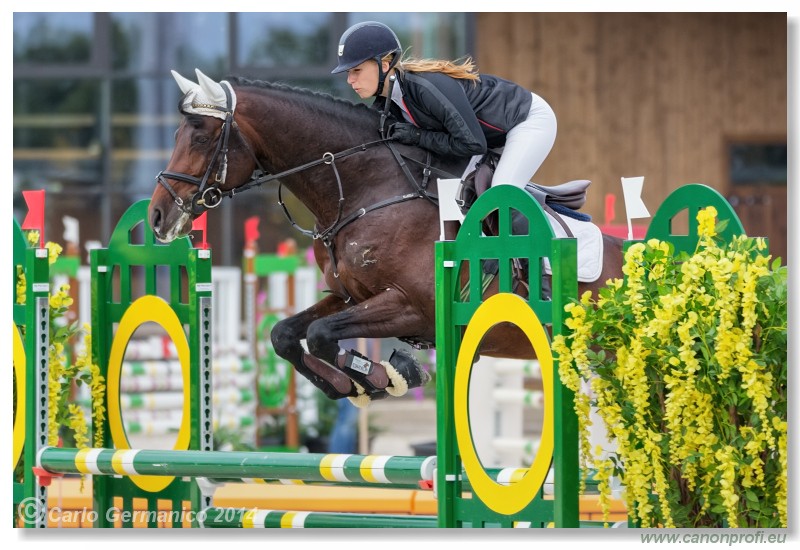 Spring Opening Hippo 