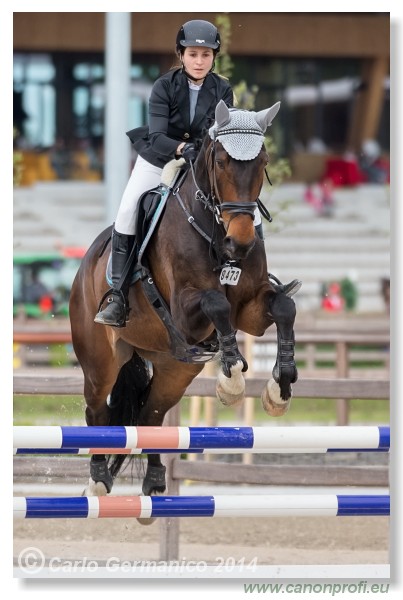 Spring Opening Hippo 