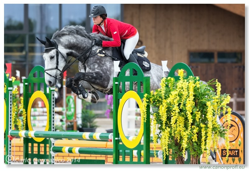 Spring Opening Hippo 