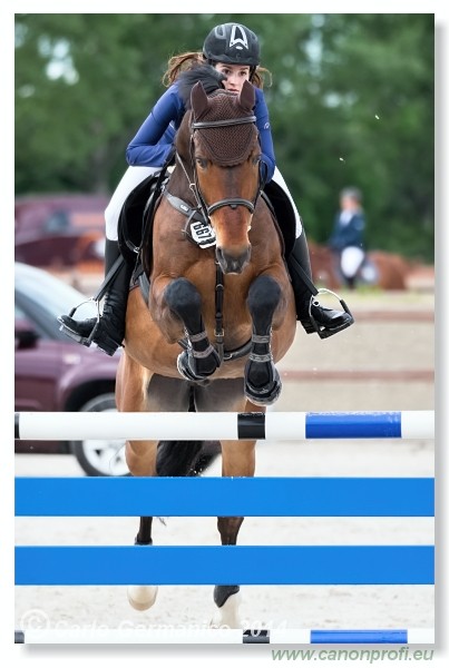 Spring Opening Hippo 